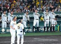 　７回、同点にわく阪神ナイン（撮影・飯室逸平）