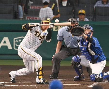 　２回、送りバントを失敗する村上（撮影・飯室逸平）