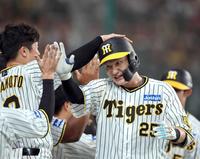 ５月２５日阪神タイガースイチオシ缶バッチ渡辺諒選手。１５個 5月25日阪神タイガースイチオシ缶バッチ渡辺諒選手。15個