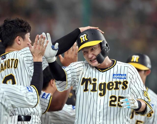MLB starting lineup レジェンド選手 30体　生産終了品 MLB starting lineup レジェンド選手 30体 生産終了品 Vintage