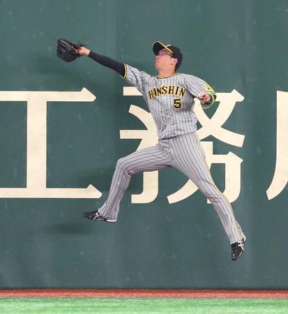 　７回、吉川の中飛を好捕する近本（撮影・吉澤敬太）