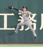 　７回、吉川の中飛を好捕する近本（撮影・吉澤敬太）