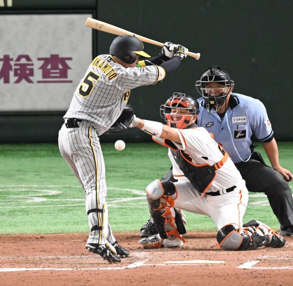 　７回、死球を受ける近本（撮影・金田祐二）