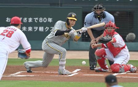 　１回、送りバントを決める木浪（撮影・飯室逸平）