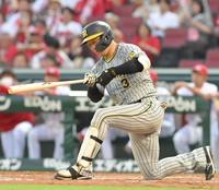 　４回、三振に倒れる大山（撮影・高部洋祐）