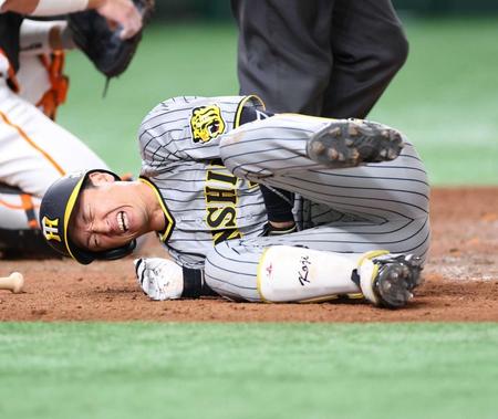 　対巨人１１回戦の７回、死球を受け、苦痛に顔を歪める近本＝２日、東京ドーム