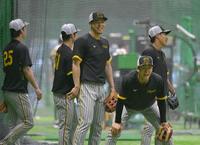 　１軍に合流し、笑顔でノックを受ける佐藤輝（中央）＝撮影・高部洋祐