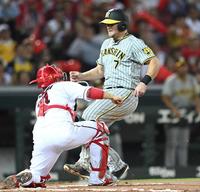 　７回、渡辺諒の安打で本塁を狙うも、余裕でアウトとなるノイジー（撮影・田中太一）