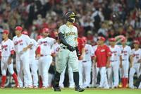 　９回、二飛に倒れ、勝利を喜ぶ広島ナインを背にベンチに戻る佐藤輝（撮影・高部洋祐）