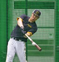 　フリー打撃で快音を響かせる佐藤輝（撮影・立川洋一郎）