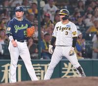 　６回、ミエセスの外野フライで三塁を狙った大山だがアウトとなった（撮影・高部洋祐）