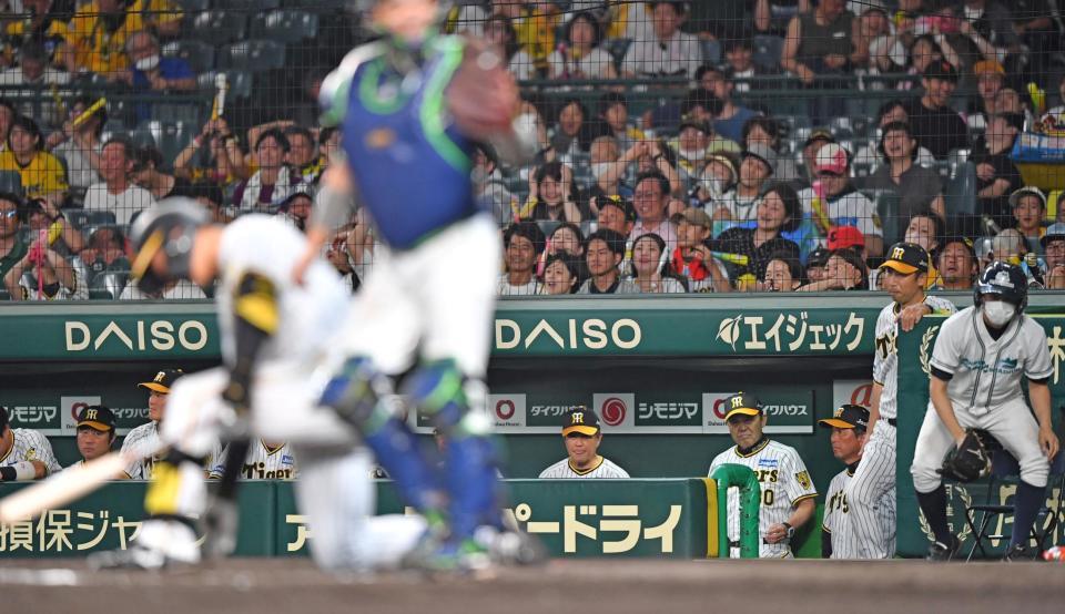 　９回、森下が空振り三振に倒れ試合終了。ベンチで厳しい表情の岡田監督（ベンチ内右から３人目）＝撮影・中田匡峻