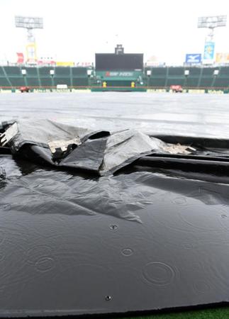 　日中、雨のためグラウンドにはシートが敷かれる（撮影・中田匡峻）