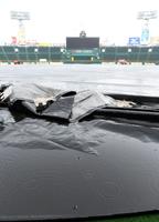 　日中、雨のためグラウンドにはシートが敷かれる（撮影・中田匡峻）