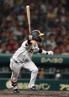 　５回、遊飛に倒れる中野（撮影・山口登）