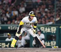 　６回、２ストライク目を取られた際、両膝に手をつく佐藤輝（撮影・中田匡峻）