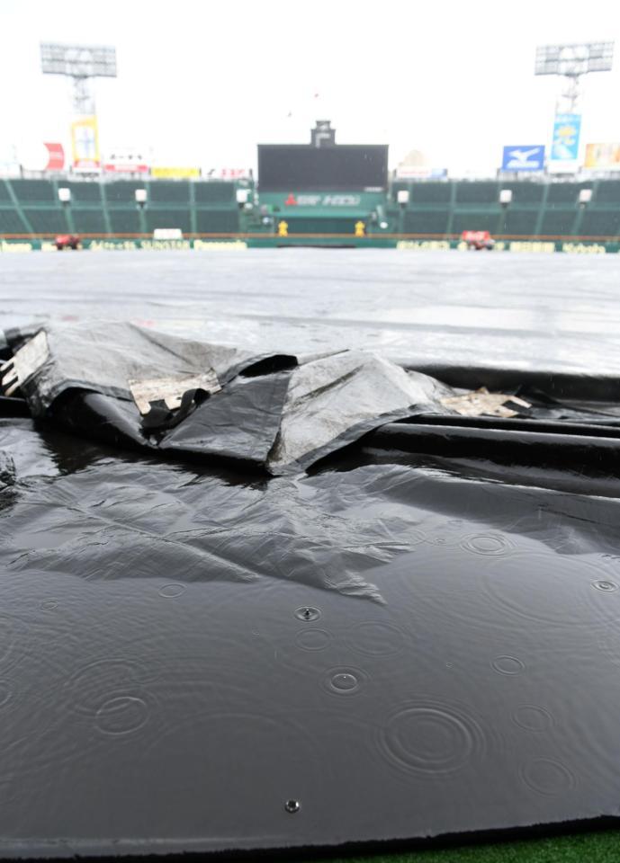 　日中、雨のためグラウンドにはシートが敷かれる（撮影・中田匡峻）