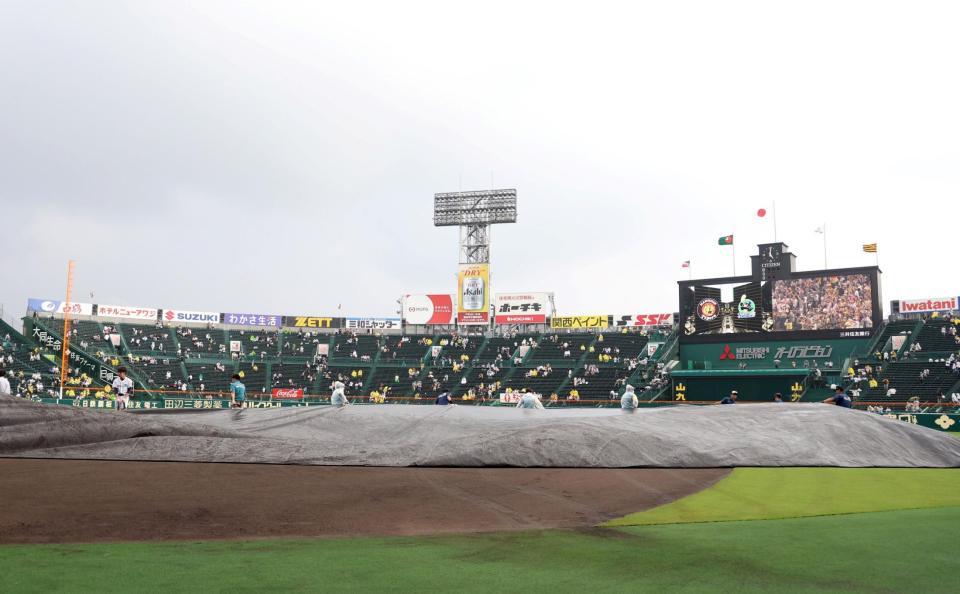 　試合に向けグラウンドに敷かれたシートが外される（撮影・山口登）