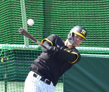 　打撃練習をする佐藤輝（撮影・中田匡峻）
