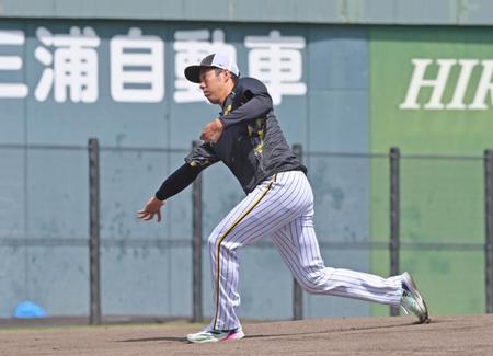 　練習前にマウンドの感触を確かめる青柳（撮影・立川洋一郎）