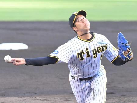 　力投する青柳（撮影・高部洋祐）