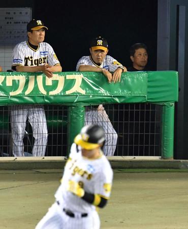 　５回、安打を放った佐藤輝（手前）を見つめる岡田監督（後方中央）＝撮影・中田匡峻