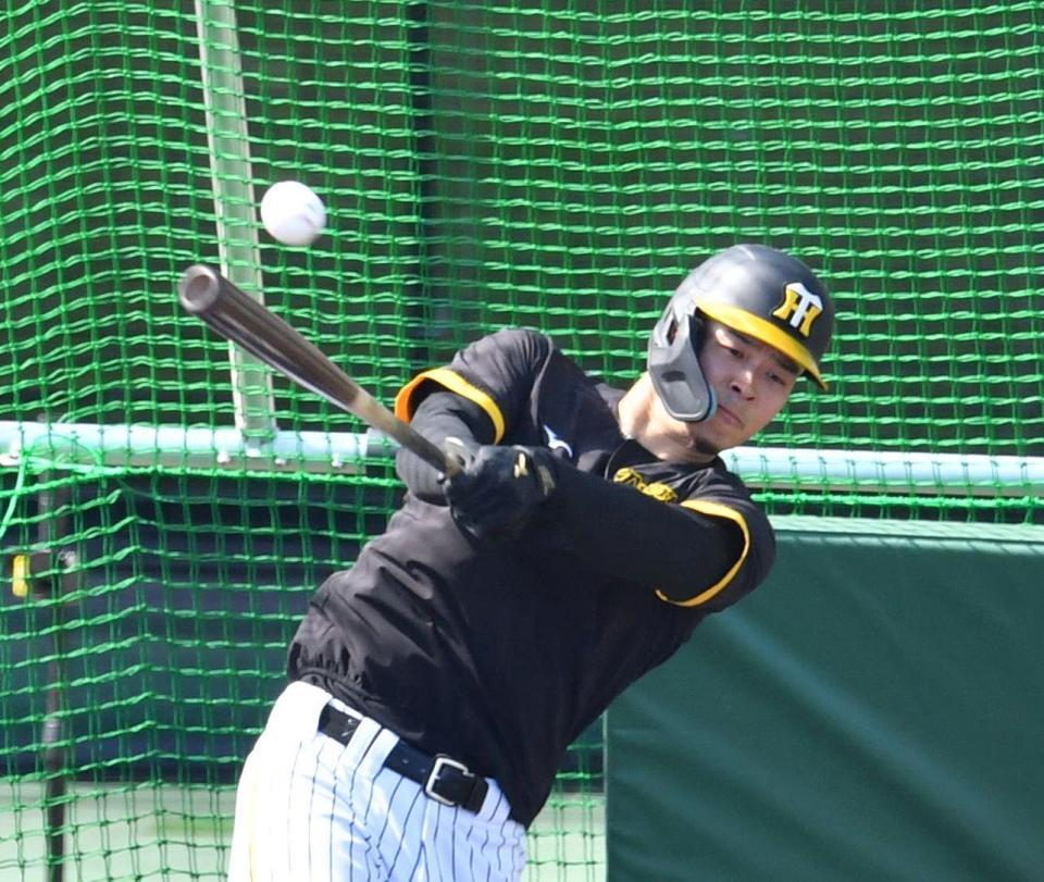 　打撃練習をする佐藤輝（撮影・中田匡峻）