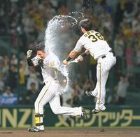 　９回、サヨナラとなる中犠飛を放ち「祝福のシャワー」を浴びる森下（撮影・立川洋一郎）