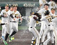 阪神タイガース ここまで暴露(バラ)せば殺される 阪神タイガース ここまで暴露(バラ)せば殺される - メルカリ