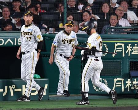 　６回裏の攻撃を終え、選手交代のためベンチを出る岡田監督（中央）。左は今岡コーチ、右は好機で見逃し三振に倒れた坂本（撮影・中田匡峻）