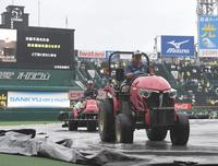 　試合前、整備を行う阪神園芸のスタッフら（撮影・高部洋祐）