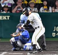 　６回、見逃し三振に倒れる坂本（撮影・中田匡峻）