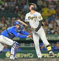 　７回、空振り三振に倒れる森下（撮影・立川洋一郎）