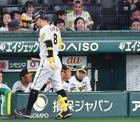 　４回、佐藤輝（８）が空振り三振に倒れ、ベンチで厳しい表情の岡田監督（右）＝撮影・中田匡峻