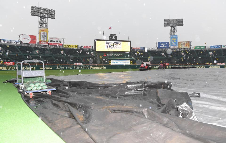　グラウンドにシートが敷かれた甲子園球場（撮影・高部洋祐）