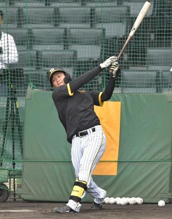 　打撃練習する森下