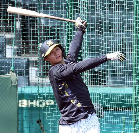 　打撃練習する森下（撮影・山口登）