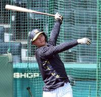 　打撃練習する森下（撮影・山口登）