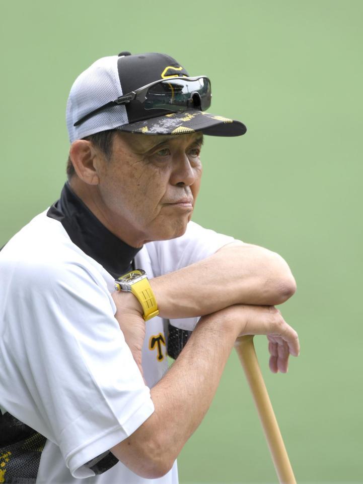 　練習を見守る岡田監督（撮影・北村雅宏）