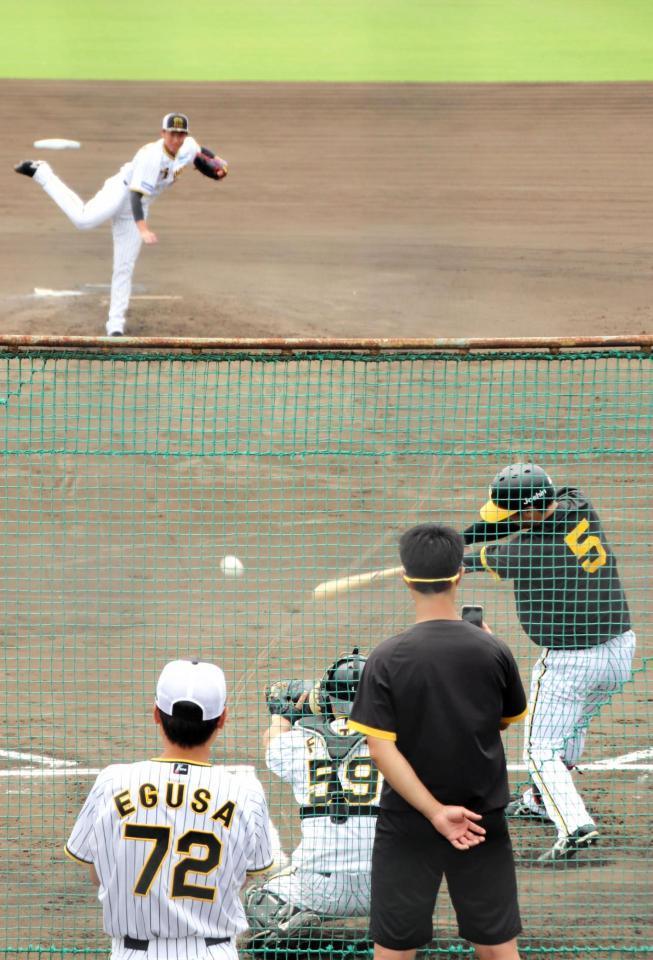 　シート打撃で対戦する近本と湯浅