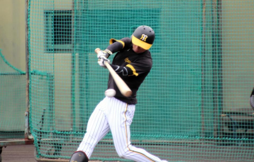 　シート打撃で湯浅の投球を打ち返す近本