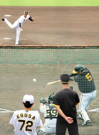 　シート打撃で対戦する近本と湯浅