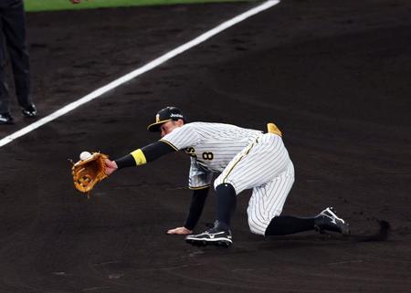 　６回、佐藤輝は岡林の打球に飛びつくも捕球できず二塁打となる（撮影・山口登）