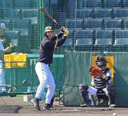 　試合前練習のフリー打撃で右足の使い方を変えて打席に立つ佐藤輝（撮影・立川洋一郎）