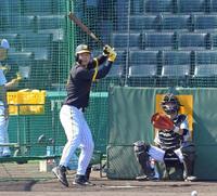 　試合前練習のフリー打撃で右足の使い方を変えて打席に立つ佐藤輝（撮影・立川洋一郎）