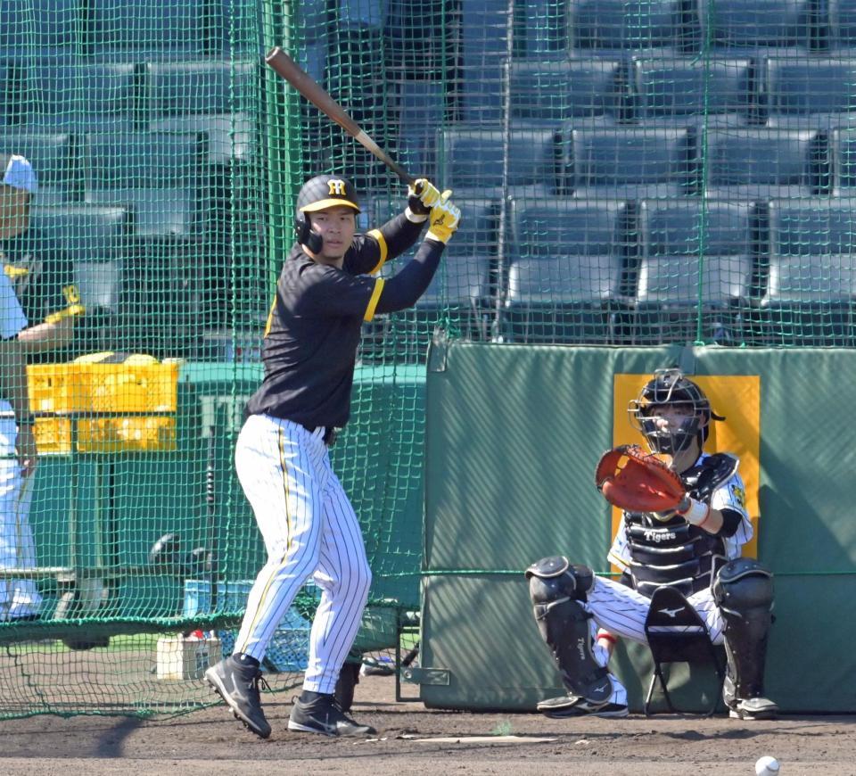 　試合前練習のフリー打撃で右足の使い方を変えて打席に立つ佐藤輝（撮影・立川洋一郎）