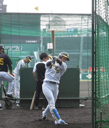 　半旗が掲げられる中、打撃練習する近本（撮影・北村雅宏）