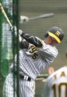 　打撃練習する近本（撮影・北村雅宏）