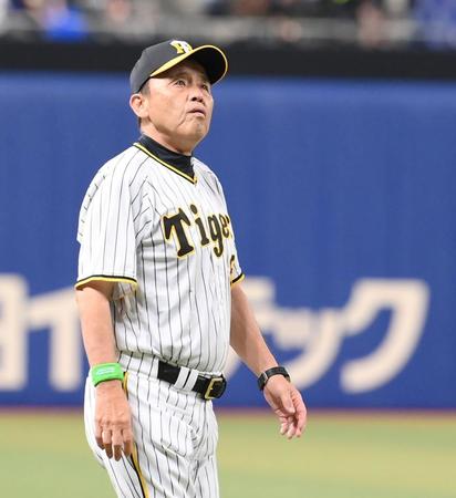 　試合後、場内一周しながらスタンドを見つめる岡田監督（撮影・伊藤笙子）