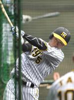 　打撃練習を行う近本